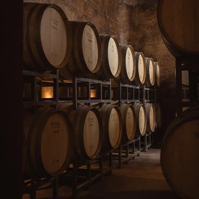 barberis bodega 4