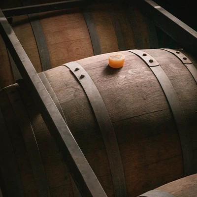 barberis bodega 6