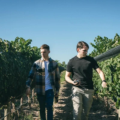 barberis bodega 1