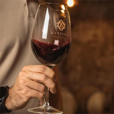 barberis bodega 3