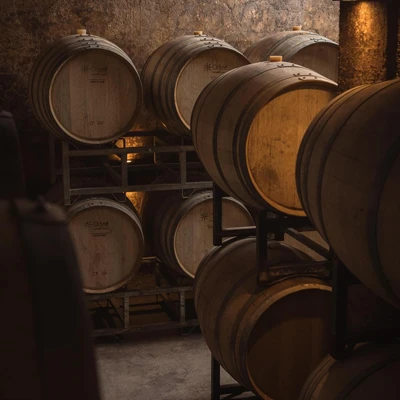 barberis bodega 4